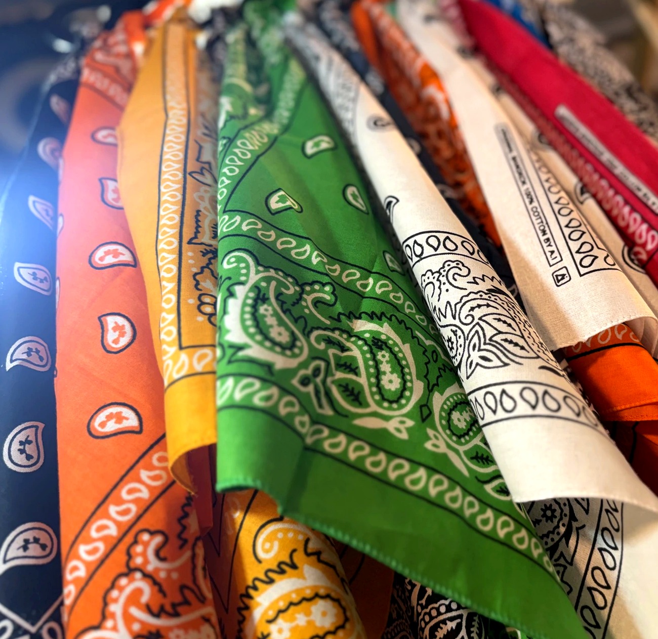 Classic Paisley Bandana